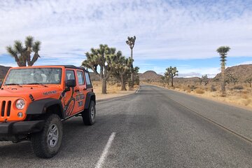 Joshua Tree National Park Driving Tour