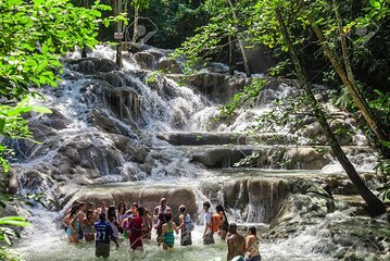 Dunn's River Falls and Horse Back Riding Excursion