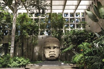 Tour with Certified Guide to Xalapa, Xico and Coatepec