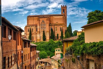 Private Siena Tour with Pisa and San Gimignano from Montecatini