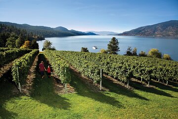 Kelowna Fab 5 & 5 Winery South Slopes Wine Tour