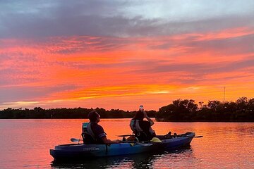 Thousand Islands Mangrove Tunnel & Bio Comb Jelly Sunset Tour