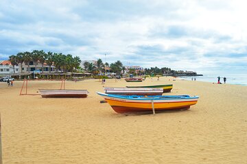 Sal Island: Guided Full-Day Highlights Tour with Lunch