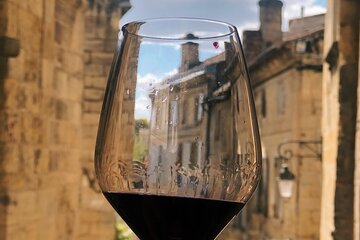 Saint-Emilion and Vineyard Walk with Wine Tasting