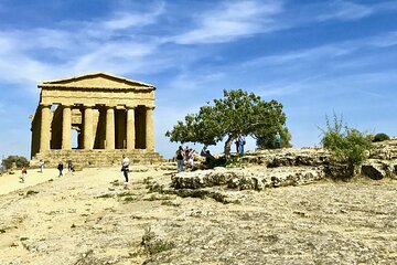 VALLEY of TEMPLES and WINERY Private Tour from Agrigento with Guide Driver