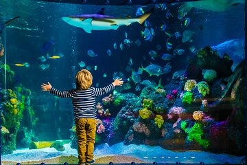 SEA LIFE Timmendorfer Strand Admission Ticket