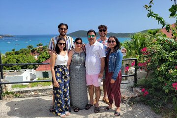 ST.Thomas Virgin Islands Private Tour with Pickup(6per group)