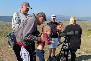 Yellowstone Full-Day Upper Loop with Wildlife Adventure w/Lunch