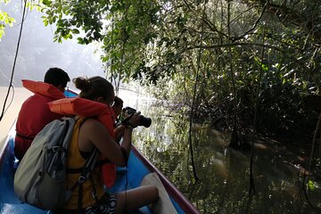 Tour to the Canals in Tortuguero National Park