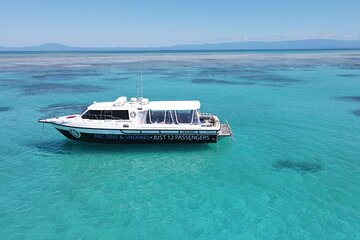 ABC Snorkel Charters Port Douglas Snorkelling max 12 passengers