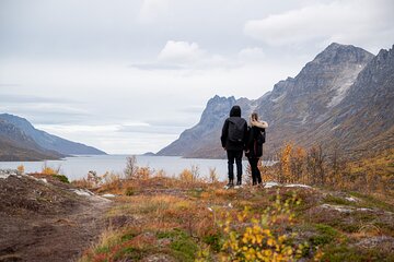 Arctic Roadtrip: fjords with scenic picnic | Sightseeing