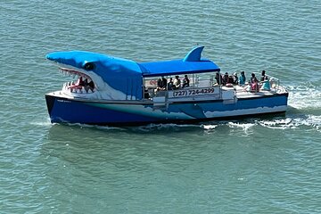 Mega Bite Dolphin Tour Boat in Clearwater Beach