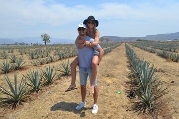 Full Day Guided Tour in Amatitán and Tequila with Tasting