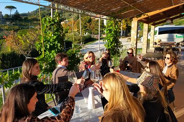 Private wine tour - Lucca hills and Montecarlo (2 wineries)