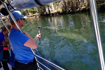 Manatee Viewing Cruise