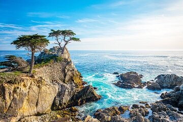 17-Mile Drive,Carmel & Monterey Day Trip from San Francisco