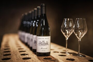 The Beautiful Escape, The Cellar Armand Heitz