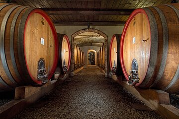 Langhe (Piedmont): Wine Tasting Experience
