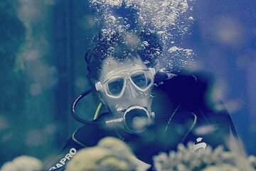 PADI Discover Scuba Diving Course