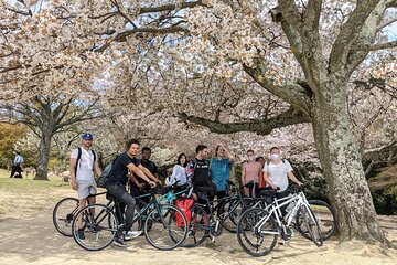 Nara - Heart of Nature Bike Tour