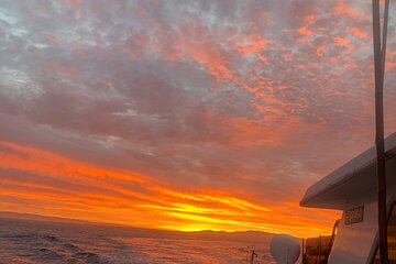 Sunset Whale Watch Tour in Monterey