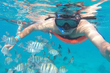 Private MUSA Snorkeling Experience Isla Mujeres and Cancun
