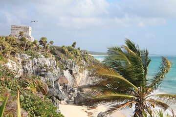Tulum Ruins and 3 Cenotes - Jungle Adventure