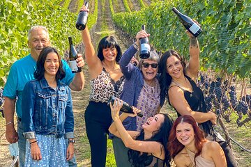 Wine Tour Experience In Lake Country 5 Wineries