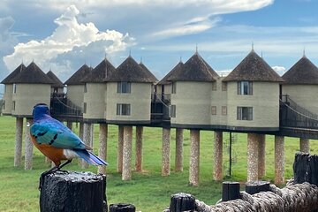 Private Tsavo East Tour