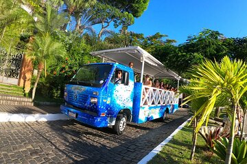 Trolley Tour Through the City Buzios