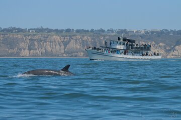 San Diego Whale Watching Tour 