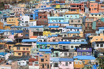 Private Busan tour with gamcheon culture village and the temple (Customizable)