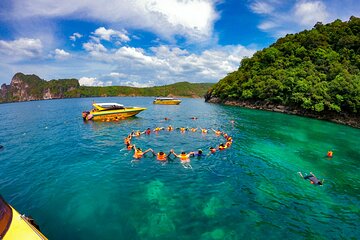 Phi Phi One Day Tour by Speed Boat (from Ao Nang, Krabi)