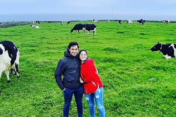 Island Van Tour (Full Day)