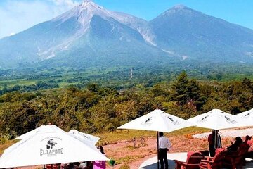 Half day San Cayetano farm and coffee tour from Puerto Quetzal