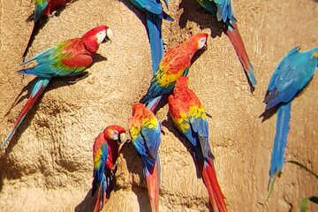 Tambopta National Reserve 5 days tour