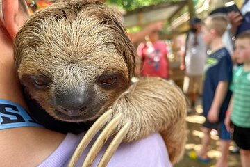 Private Tour Knowing Roatan with Professional Guide