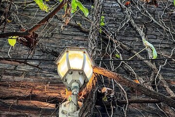 True Crime Walking Tour in Soulard Neighbourhood