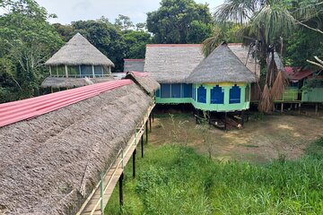 Amazon wildlife explorations 3 days 2 night