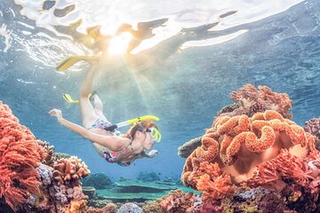 Snorkeling at Blue Lagoon Bali with Lunch and Transport