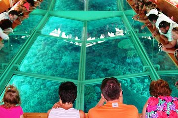 Glass Bottom Boat Trip in Dahab