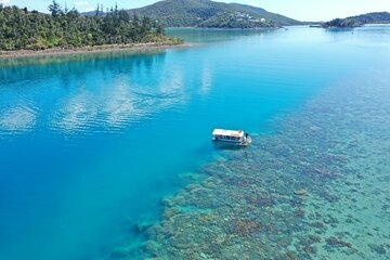 Airlie Beach Glass Bottom Boat Tour