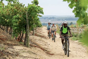 Stellenbosch Winelands Luxury EBike Tour ©