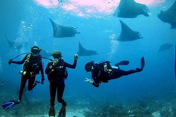 PADI Open water Course in Lembongan - Get certified & dive anywhere in the world
