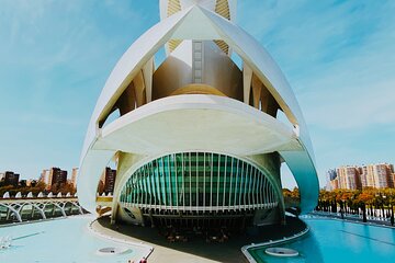One Day Tour in Valencia from Alicante