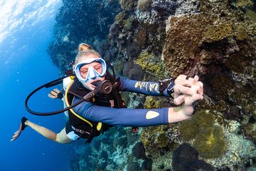 Open Water Course - Become certified diver in 3 days 