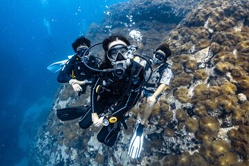 Advanced Adventurer - 2 days ( Advanced Open Water)