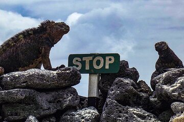 Floreana Island Full Day Tour Including Hiking and Snorkeling