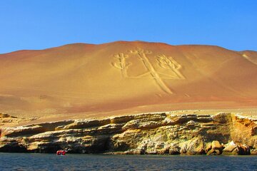From Huacachina Ballestas Island Tour and Paracas Reserve