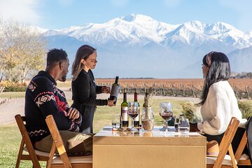 Lujan Deluxe - Full day - Premium Wine Tour with Gourmet Lunch